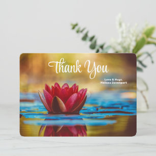 Carte De Remerciements Jolie photo d'une fleur de Lotus dans un étang