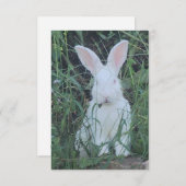 Carte De Remerciements Joyeux Lapin (Devant / Derrière)