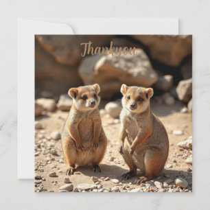 Carte De Remerciements Jumeaux Quokka australiens
