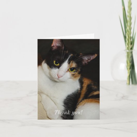 Carte De Remerciements Juste en train de se pendre (Devant)