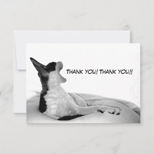 Carte De Remerciements Kitsa Diva : Reine de son dôme (Devant)