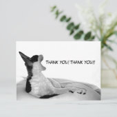 Carte De Remerciements Kitsa Diva : Reine de son dôme (Debout devant)