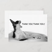 Carte De Remerciements Kitsa Diva : Reine de son dôme (Devant / Derrière)