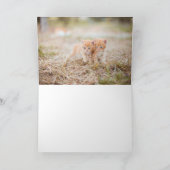 Carte De Remerciements Kitten (Intérieur)