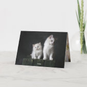 Carte De Remerciements Kitten (Dos)