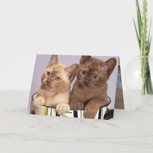 Carte De Remerciements Kitten (Dos)