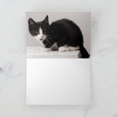 Carte De Remerciements Kitten (Intérieur)