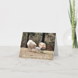 Carte De Remerciements La famille heureuse