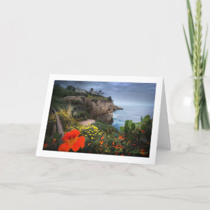 Carte De Remerciements La Jolla Nasturtiums
