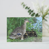 Carte De Remerciements La mère cane et les canards Professeur Remerciemen (Debout devant)