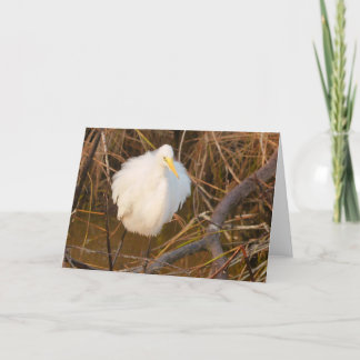 Carte De Remerciements La nature inspirée All occasion card Snowy Egret