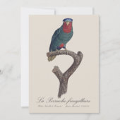 Carte De Remerciements La Perruche fringillaire (Devant)