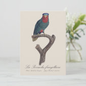 Carte De Remerciements La Perruche fringillaire (Debout devant)