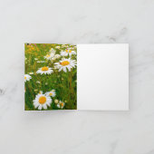 Carte De Remerciements Ladybug & Daisies (Intérieur)