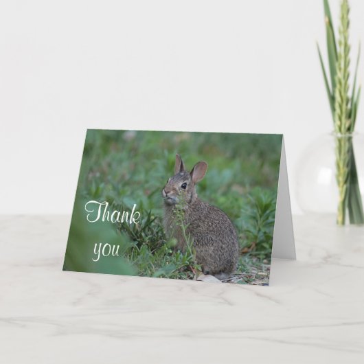 Carte De Remerciements Lapin de coton (Devant)
