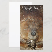 Carte De Remerciements Le castor Brown grignote nourriture de petites (Devant / Derrière)