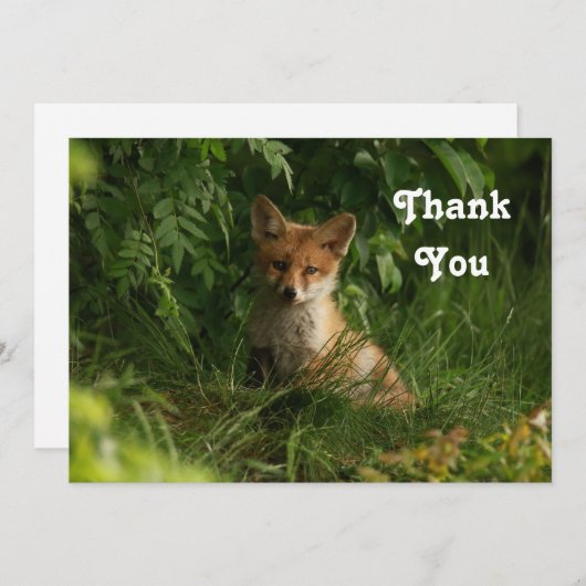 Carte De Remerciements Le chou renard dans une forêt verte (Devant / Derrière)