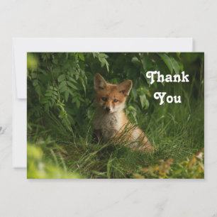 Carte De Remerciements Le chou renard dans une forêt verte
