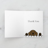 Carte De Remerciements Le Labrador du chocolat vous observe (Intérieur)