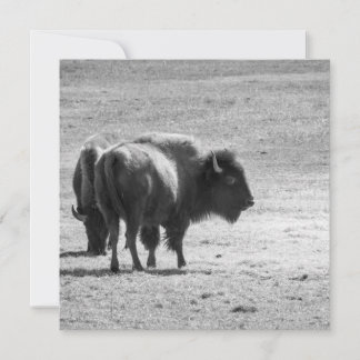 Carte De Remerciements Le puissant buffle