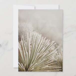 Carte De Remerciements Le Yucca Couvert De Frost En Hiver