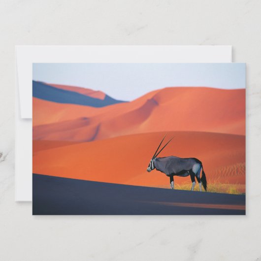 Carte De Remerciements Les déserts | Namib Desert Oryx (Devant)