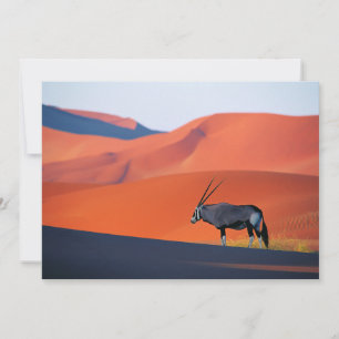 Carte De Remerciements Les déserts   Namib Desert Oryx