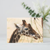 Carte De Remerciements Les girafes lointaines et proches (Debout devant)