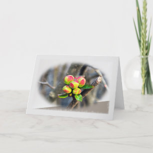 Carte De Remerciements Les premiers bourgeons