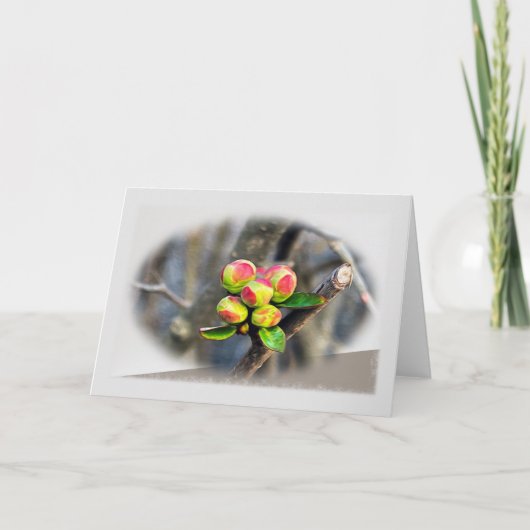 Carte De Remerciements Les premiers bourgeons (Devant)