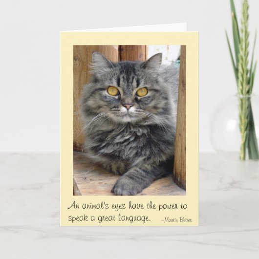 Carte De Remerciements Les yeux des Tsiganes (Devant)