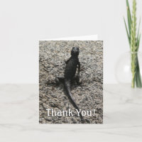Lézard noir