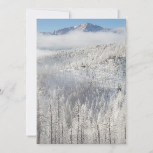Carte De Remerciements L'hiver dans la forêt nationale de Pike