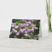Carte De Remerciements Lilacs (Devant)