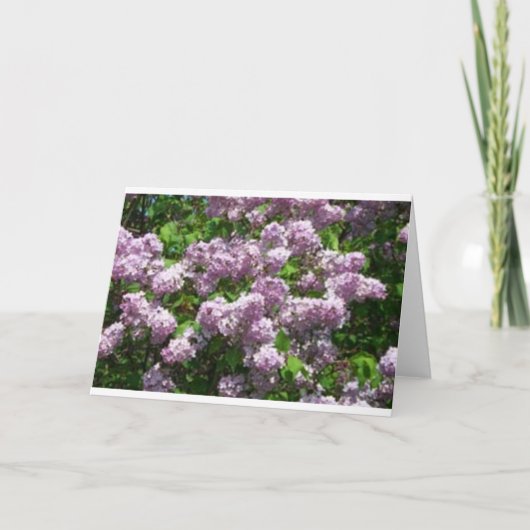 Carte De Remerciements Lilacs (Devant)