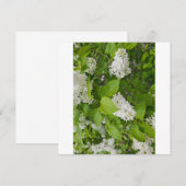 Carte De Remerciements Lilas blanc (Devant / Derrière)