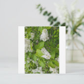 Carte De Remerciements Lilas blanc (Debout devant)