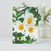 Carte De Remerciements Lilium candidum - Lys blancs rustiques  (Debout devant)