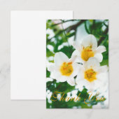 Carte De Remerciements Lilium candidum - Lys blancs rustiques  (Devant / Derrière)