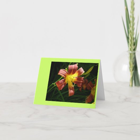 Carte De Remerciements Lily (Devant)