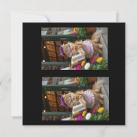 Livres d'art de vente Ginger Kitty
