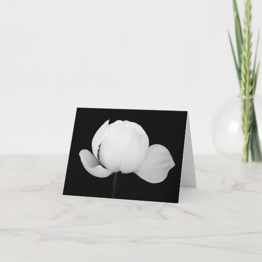 Carte De Remerciements Lotus Bud (Devant)