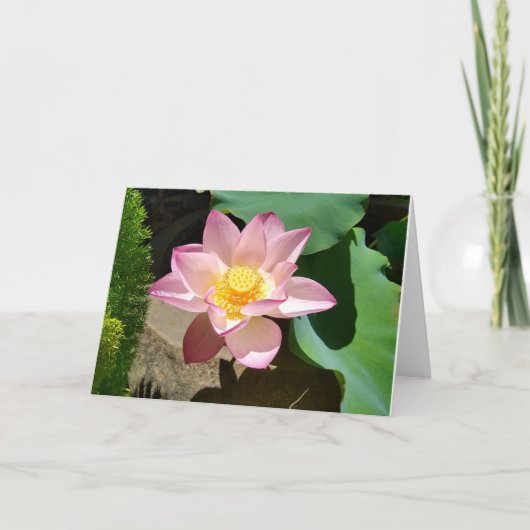 Carte De Remerciements Lotus Card (Devant)