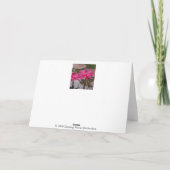 Carte De Remerciements Lotus rose (Dos)