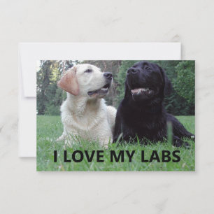 Carte De Remerciements LR I Love My Labs avec photo