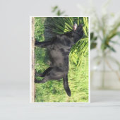 Carte De Remerciements LR noir complet (Debout devant)