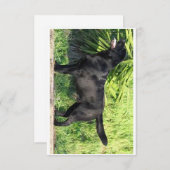 Carte De Remerciements LR noir complet (Devant / Derrière)