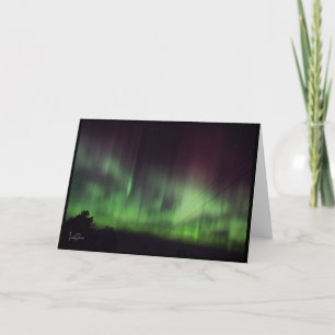 Carte De Remerciements Luminaires de danse sur des arbres tranquilles Car