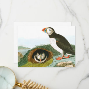 Carte De Remerciements Macareux par John James Audubon