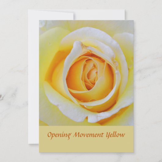 Carte De Remerciements Macro florale de rose jaune (Devant)